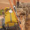 camino2012