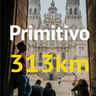 Camino Primitivo 313 kilometr贸w