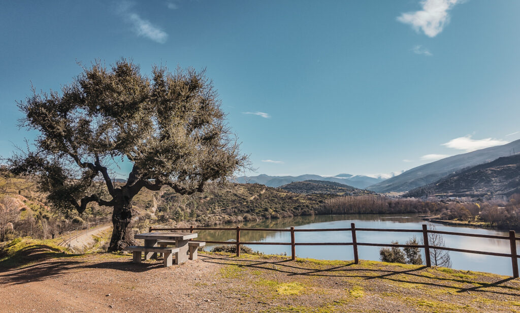 Camino de Invierno - krajobraz na szlaku Camino de Santiago
