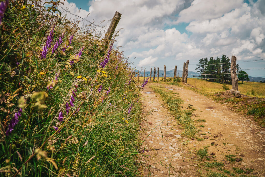ETAP 8 Camino Primitivo A Fonsagrada-O Cádavo 