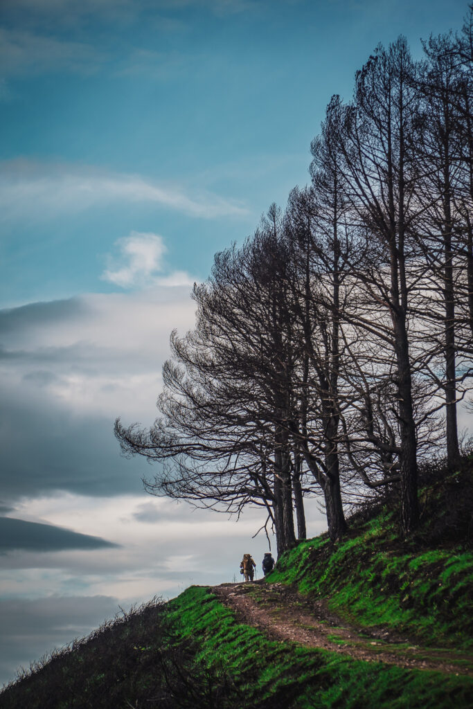 Camino Primitivo - ETAP SZPITALI