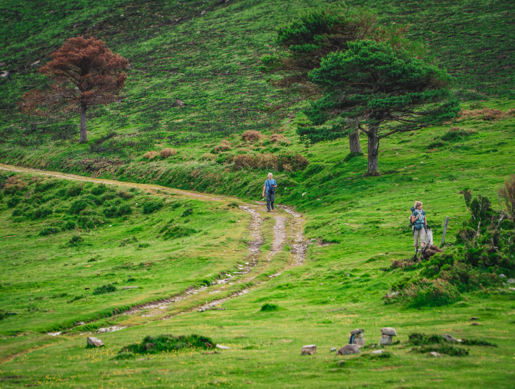 Camino Primitivo - ETAP szpitali