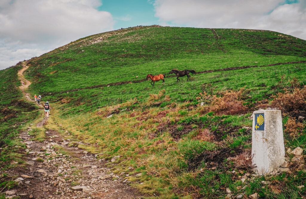 Camino Primitivo - trasa szpitali - oznakowanie i dzikie konie