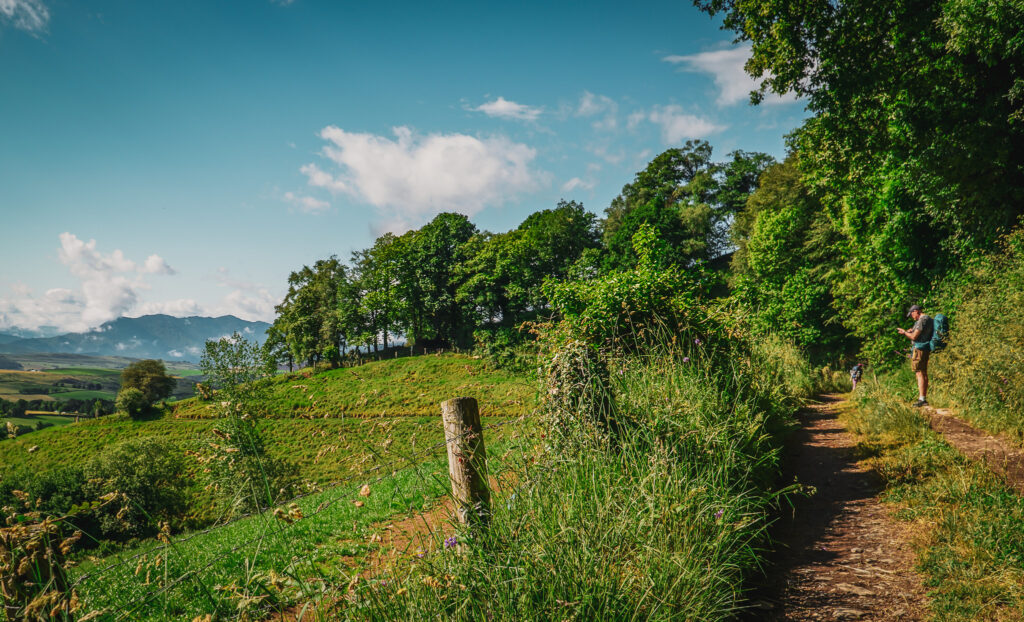 Camino Primitivo - etap Tineo - Campiello