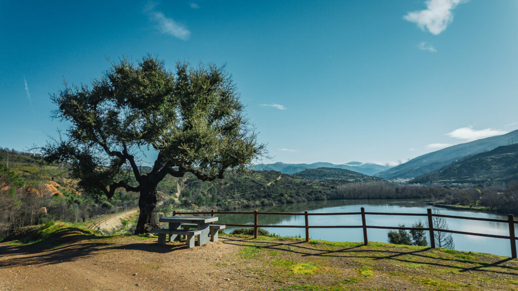Camino de Invierno - widok w ciągu dnia