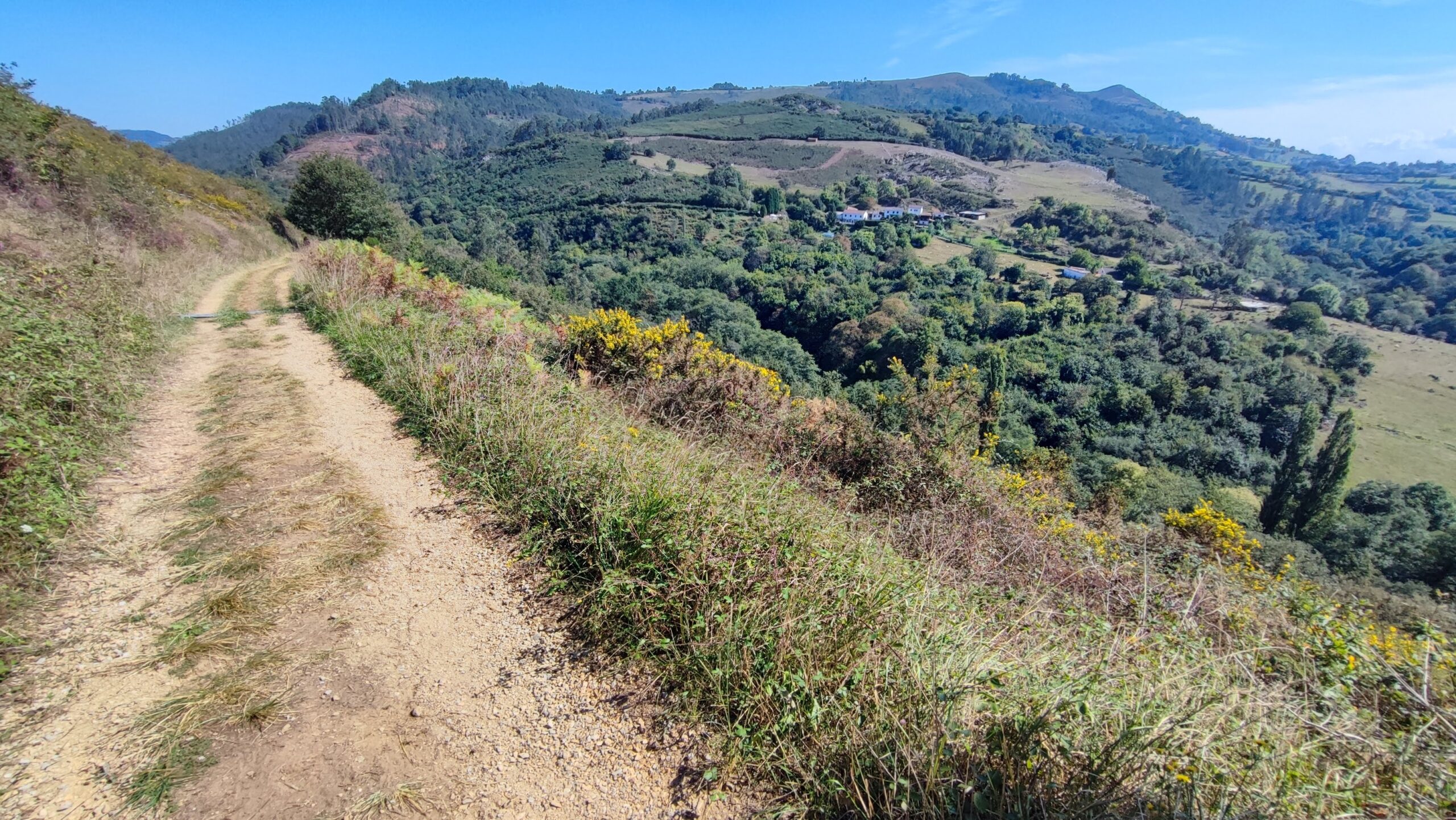 oviedo camino primitivo