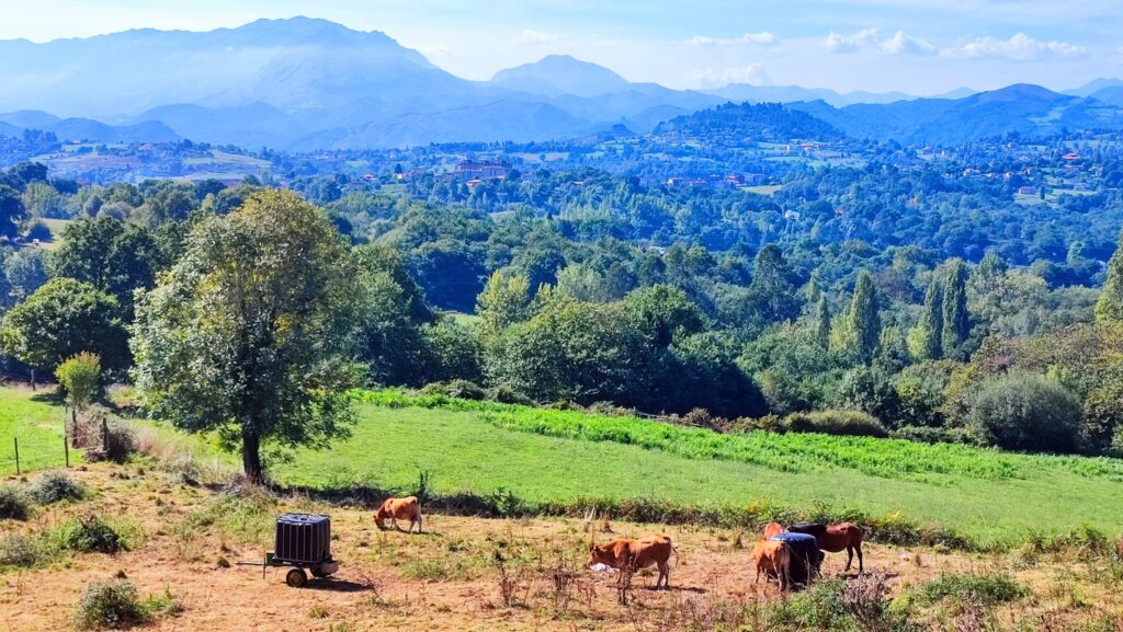 ETAP 1 Camino Primitivo - Oviedo - Grado
