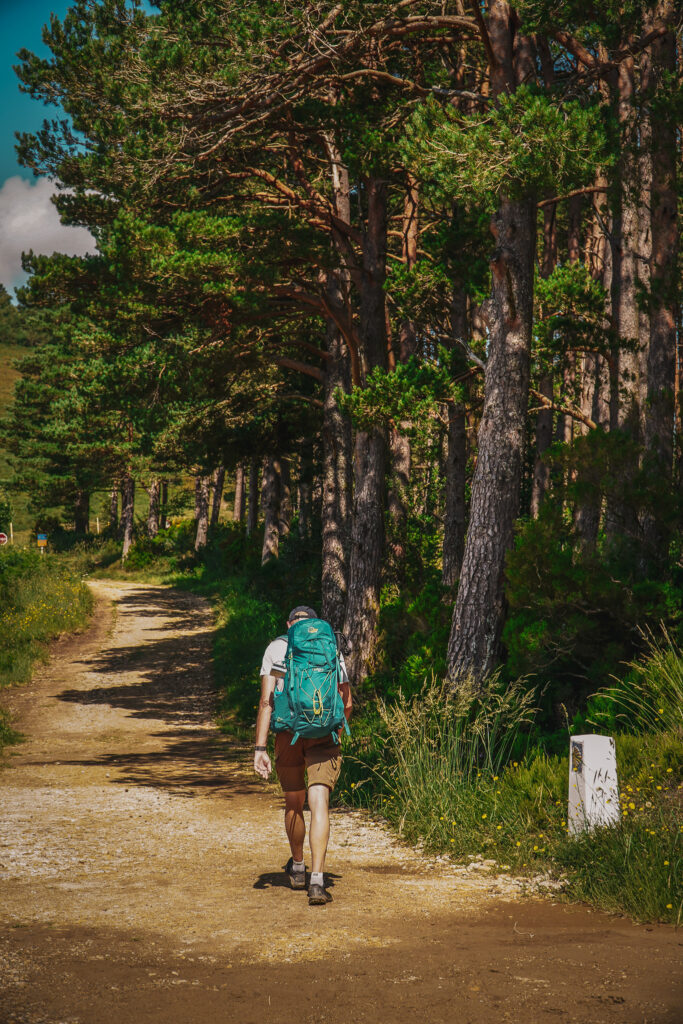 ETAP 7 Camino Primitivo - Grandas de Salime - Fonsagrada