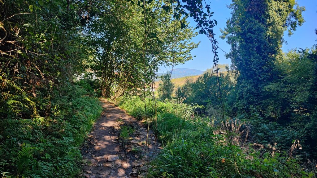 Etap 2 Camino Primitivo - Grado - Salas- - szlak po deszczach może płynąć błotem