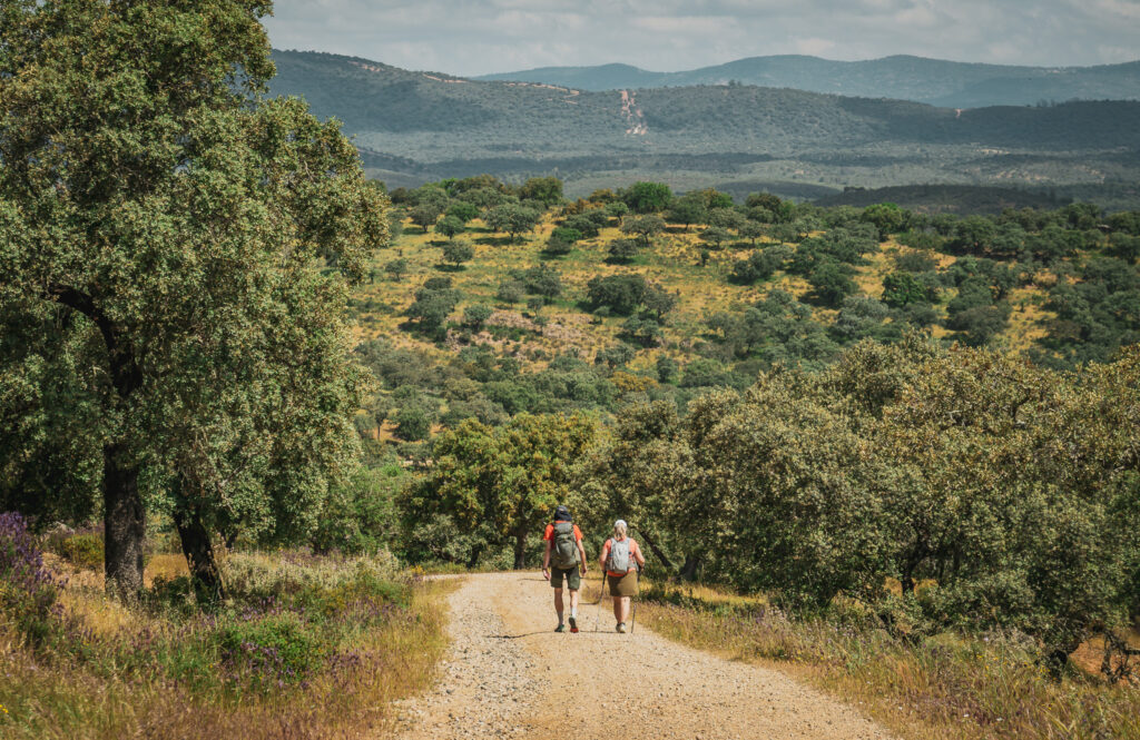 Camino Via de la Plata pielgrzymi na szlaku