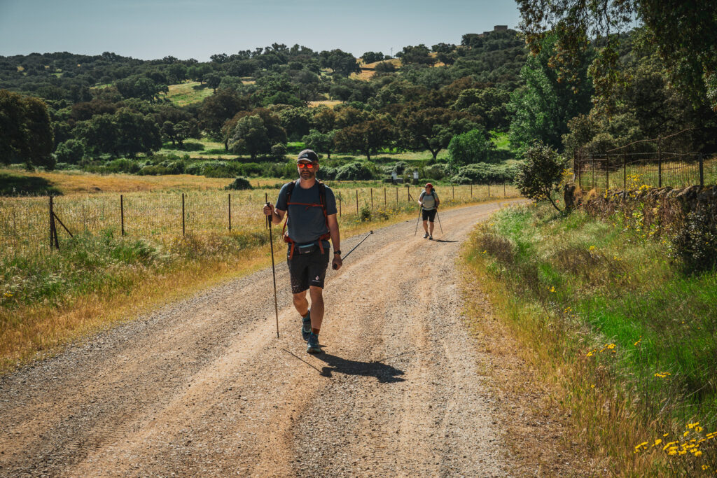 Camino Via de la Plata