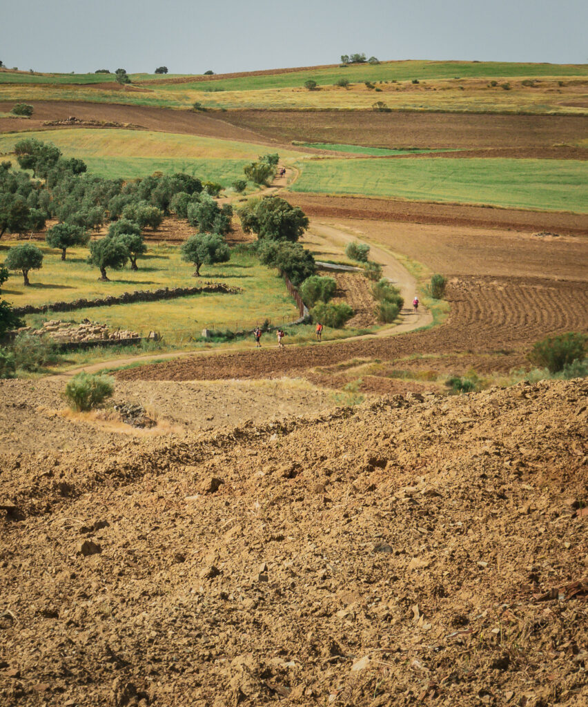 Camino Via de la Plata szlak i pielgrzymi
