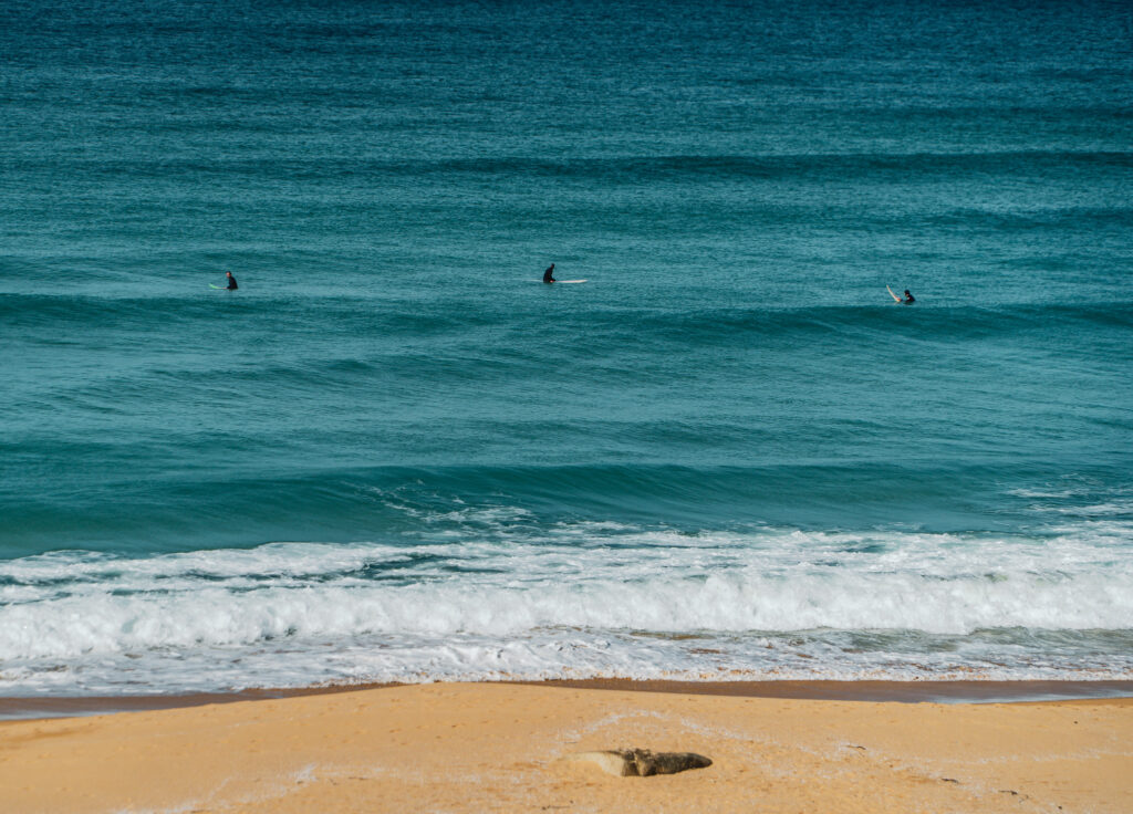 Camino del Barbanza - A Orixe - surferzy