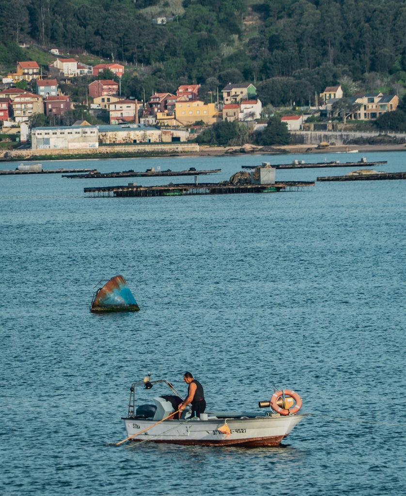 Camino del Barbanza - A Orixe - zatoka Arousa