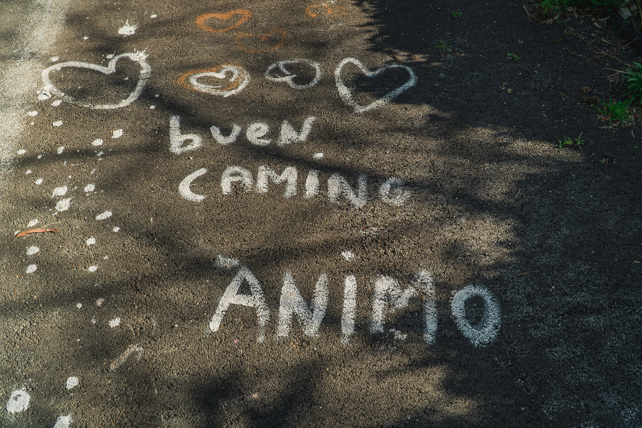 Camino de Barbanza - A Orixe (77)