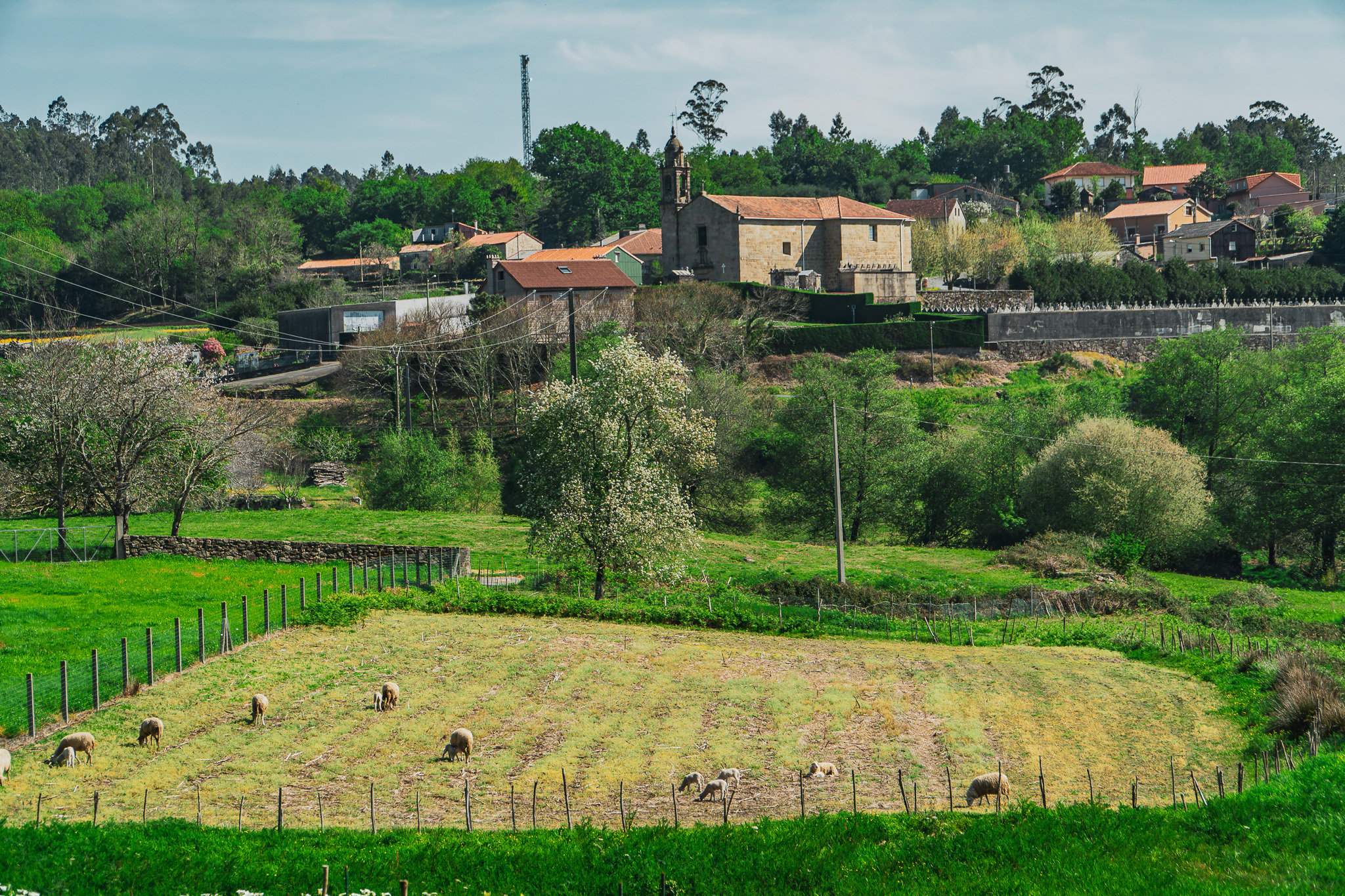 Camino de Barbanza - A Orixe (86)