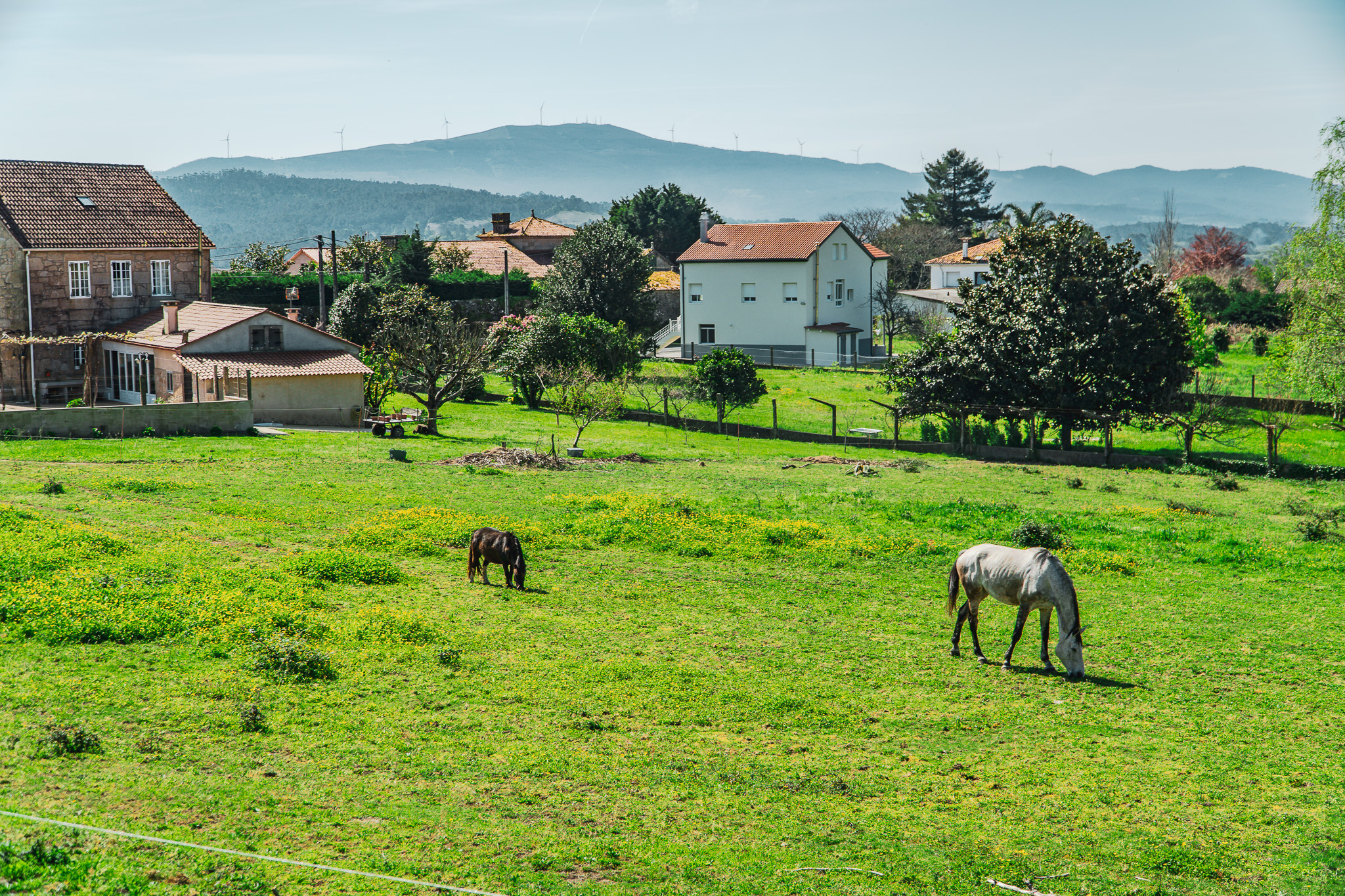 Camino de Barbanza - A Orixe (90)