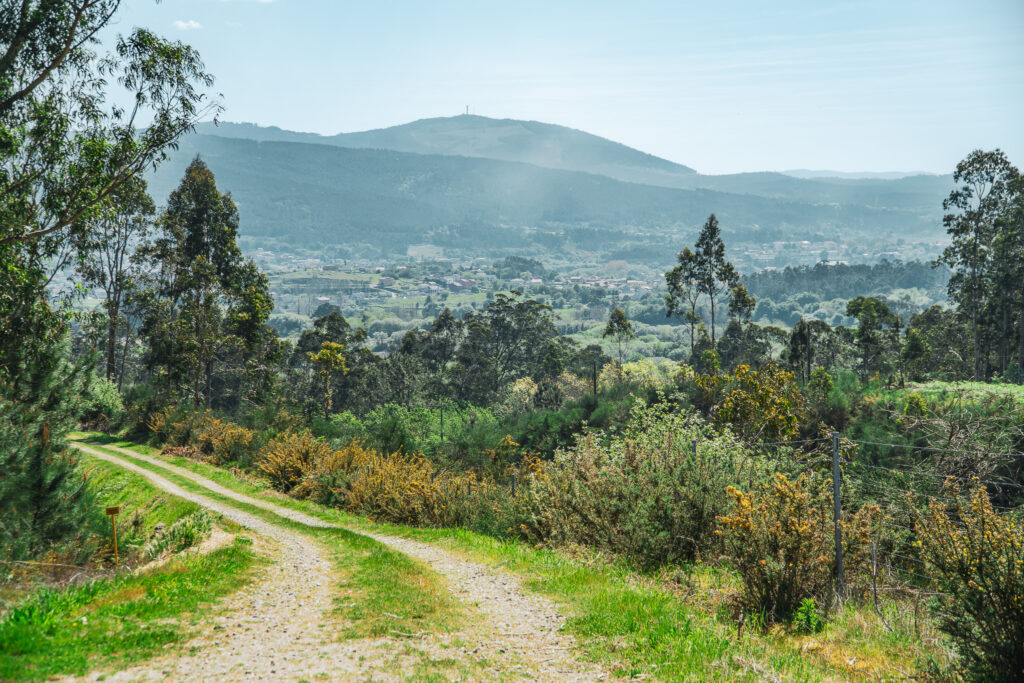 Camino de Barbanza - A Orixe - dojście do Padrón